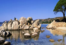 ac米兰-曼联小将表现抢眼，劲旅添新力量