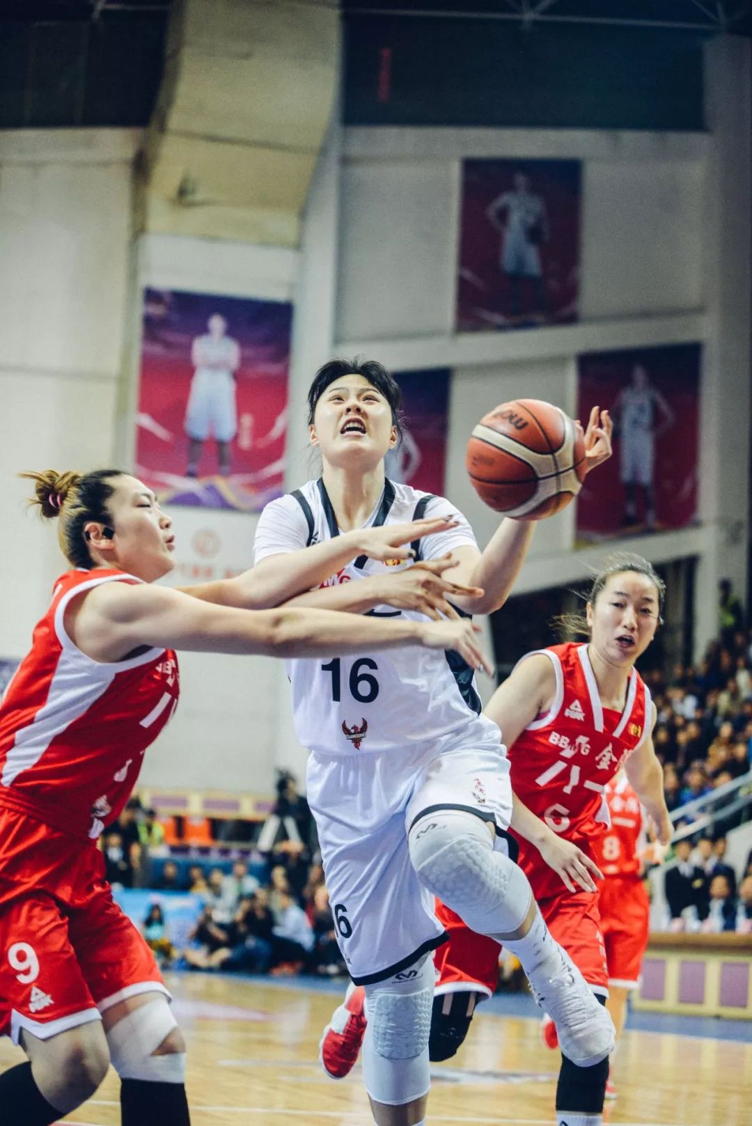 欧洲篮球赛季完美收官，总决赛结果揭晓