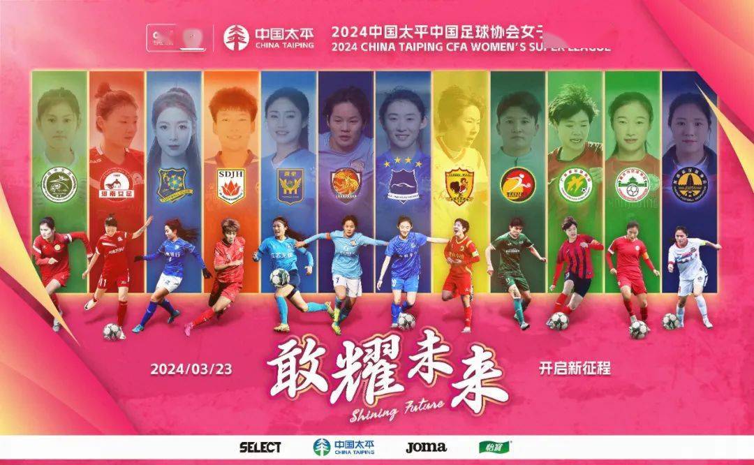 包含中国足协决定成立女足职业委员会，促进女足事业发展的词条